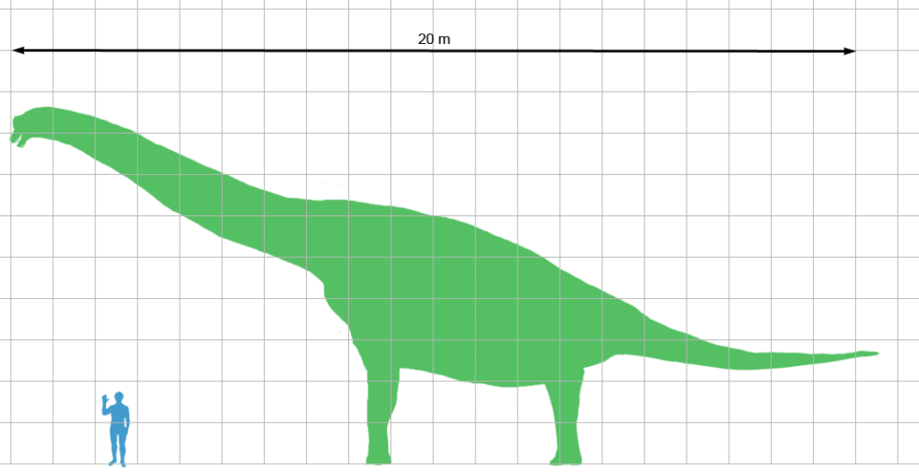 Brachiosaurus size relative to the size of a human
